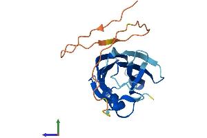 AlphaFold protein structure predicition of Human Recombinant SYT14P1 Protein, UniprotID Q58G82