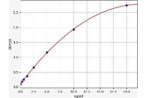 Typical standard curve (alpha-L-Fucosidase (Fuca) ELISA Kit)