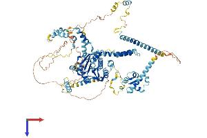 FTSJ3 Protein (AA 1-847) (His tag)