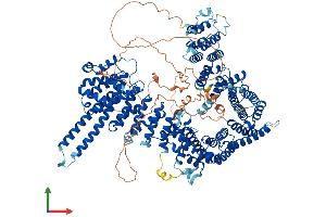 AlphaFold protein structure predicition of Mouse Recombinant Stag2 Protein, UniprotID O35638