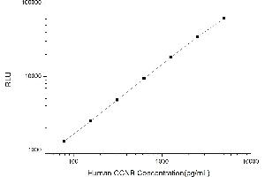 Typical standard curve (Cyclin B1 CLIA Kit)