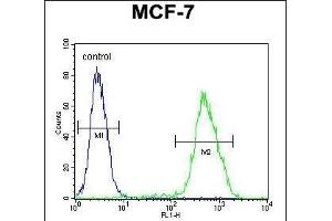 LMO4 Antibody (Center) (ABIN654714 and ABIN2844403) flow cytometric analysis of MCF-7 cells (right histogram) compared to a negative control cell (left histogram). (LMO4 Antikörper  (AA 104-131))