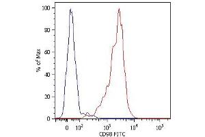 Surface staining of human peripheral blood cells with anti-human CD98 (MEM-108) FITC. (SLC3A2 Antikörper  (Biotin))