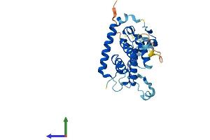 Protein Structure (PS) image for Gem (Nuclear Organelle) Associated Protein 2 (GEMIN2) (AA 1-269) protein (His tag) (ABIN7560565)