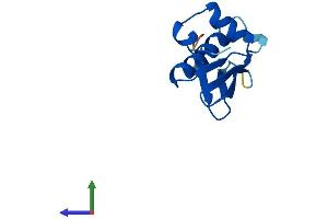 Protein Structure (PS) image for Chromosome 17 Open Reading Frame 103 (C17ORF103) (AA 1-110) protein (His tag) (ABIN7561305)