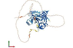 Protein Structure (PS) image for G1 To S Phase Transition 2 (GSPT2) (AA 1-628) protein (His tag) (ABIN7553863)