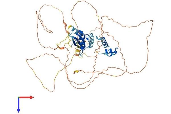 SOCS6 Protein (AA 1-533) (His tag)