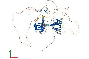 Protein Structure (PS) image for Amyloid beta (A4) Precursor Protein-Binding, Family B, Member 1 (Fe65) (APBB1) (AA 1-710) protein (His tag) (ABIN7552195)