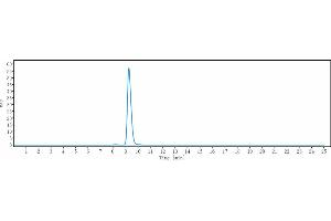anti-GFRA3 (Nadecnemab Biosimilar) antibody
