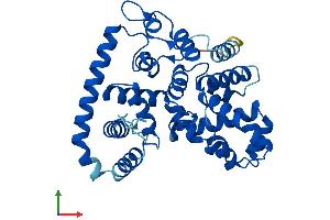 Protein Structure (PS) image for TBC1 Domain Family, Member 21 (TBC1D21) (AA 1-336) protein (His tag) (ABIN7561163)