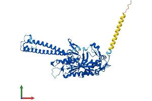 Protein Structure (PS) image for Seryl-tRNA Synthetase (SARS) (AA 1-514) protein (His tag) (ABIN7544176)