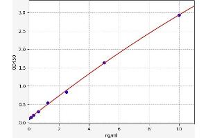 Transgelin 2 (TAGLN2) ELISA Kit