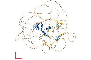 Protein Structure (PS) image for Synaptopodin 2-Like (SYNPO2L) (AA 1-977) protein (His tag) (ABIN7555683)