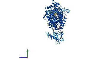 Protein Structure (PS) image for Histidine Ammonia-Lyase (HAL) (AA 1-657) protein (His tag) (ABIN7563175)