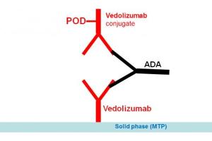 Image no. 1 for Vedolizumab Antibody ELISA Kit (ABIN5519325) (Vedolizumab Antibody ELISA Kit)