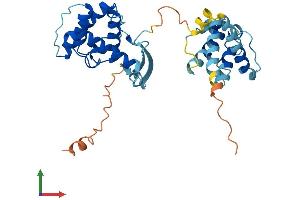Protein Structure (PS) image for Parvin, gamma (PARVG) (AA 1-331) protein (His tag) (ABIN7561432)