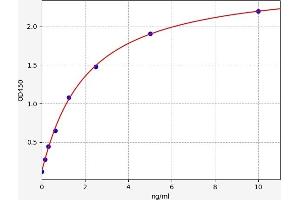 CENPF ELISA Kit