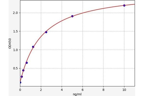 CENPF ELISA Kit