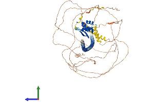 AlphaFold protein structure predicition of Mouse Recombinant Dach1 Protein, UniprotID Q9QYB2