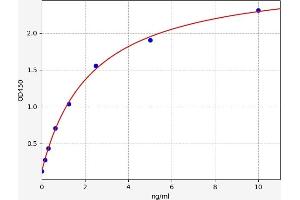 PANX1 ELISA Kit