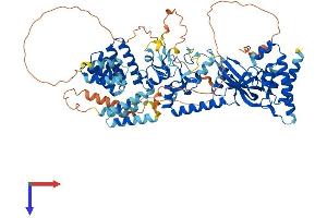 LONRF3 Protein (AA 1-753) (His tag)