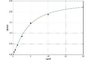 Tenascin C (TNC) ELISA Kit
