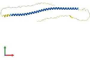 SYCE2 Protein (AA 1-218) (His tag)