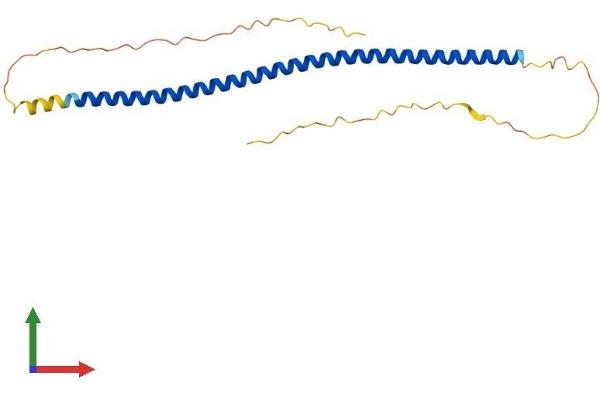 SYCE2 Protein (AA 1-218) (His tag)