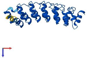 PSMD10 Protein (AA 1-226) (His tag)