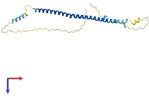 BLOC1S4 Protein (AA 1-215) (His tag)