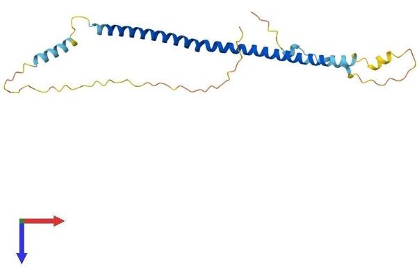 BLOC1S4 Protein (AA 1-215) (His tag)