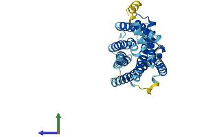 Protein Structure (PS) image for G Protein-Coupled Receptor 171 (GPR171) (AA 1-319) protein (His tag) (ABIN7558528)