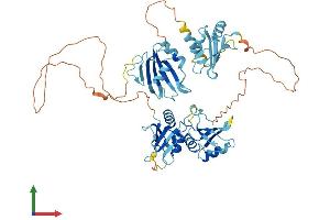 Protein Structure (PS) image for Polypyrimidine Tract Binding Protein 3 (PTBP3) (AA 1-552) protein (His tag) (ABIN7551116)