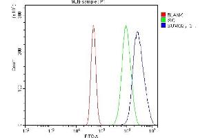 Flow Cytometry analysis of A431 cells using anti-SUMO2/3 antibody (ABIN7600856). (SUMO2/3 Antikörper  (AA 24-72))