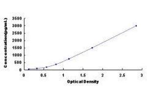 ELISA image for Chemokine (C-X-C Motif) Ligand 11 (CXCL11) ELISA Kit (ABIN1118115)