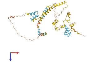 AlphaFold protein structure predicition of Human Recombinant FAM47DP Protein, UniprotID A6NHR8
