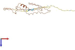 AlphaFold protein structure predicition of Human Recombinant SPATA12 Protein, UniprotID Q7Z6I5