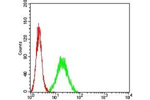Flow cytometric analysis of Hela cells using CD45R mouse mAb (green) and negative control (red). (CD45 Antikörper  (AA 378-577))