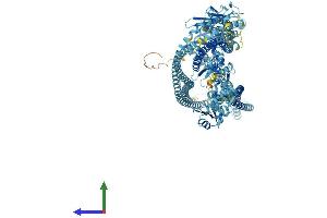Protein Structure (PS) image for Structural Maintenance of Chromosomes 1B (SMC1B) (AA 1-1248) protein (His tag) (ABIN7564841)