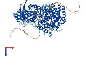 GBA2 Protein (AA 1-918) (His tag)