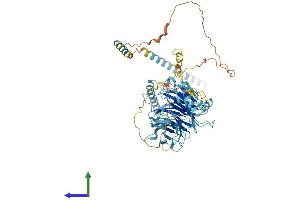 Protein Structure (PS) image for Dynein, Cytoplasmic 1, Intermediate Chain 1 (DYNC1I1) (AA 1-628) protein (His tag) (ABIN7562611)