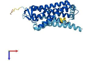 OR5I1 Protein (AA 1-314) (His tag)