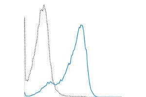 C57Bl/6 splenocytes were stimulated overnight with ConA and then stained with 0. (CD69 Antikörper  (PerCP-Cy5.5))