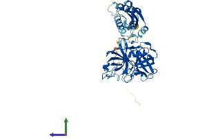 Protein Structure (PS) image for Transmembrane Protease, Serine 11F (TMPRSS11F) (AA 1-439) protein (His tag) (ABIN7558652)