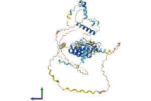 Protein Structure (PS) image for Leiomodin 2 (LMOD2) (AA 1-550) protein (His tag) (ABIN7557203)