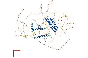 DLGAP5 Protein (AA 1-808) (His tag)