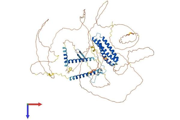 DLGAP5 Protein (AA 1-808) (His tag)