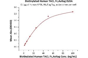 ELISA image for Tumor Necrosis Factor Receptor Superfamily, Member 13B (TNFRSF13B) (AA 2-166) protein (Fc Tag,AVI tag,Biotin) (ABIN5954907)