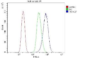 Flow Cytometry analysis of PC-3 cells using anti- Hexokinase 1/HK1 antibody (ABIN7600259). (Hexokinase 1 Antikörper  (AA 17-323))