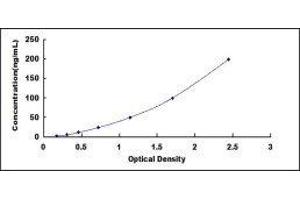 Anti-C Reactive Protein Antibody (Anti-CRP) ELISA Kit